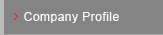 Company Profile